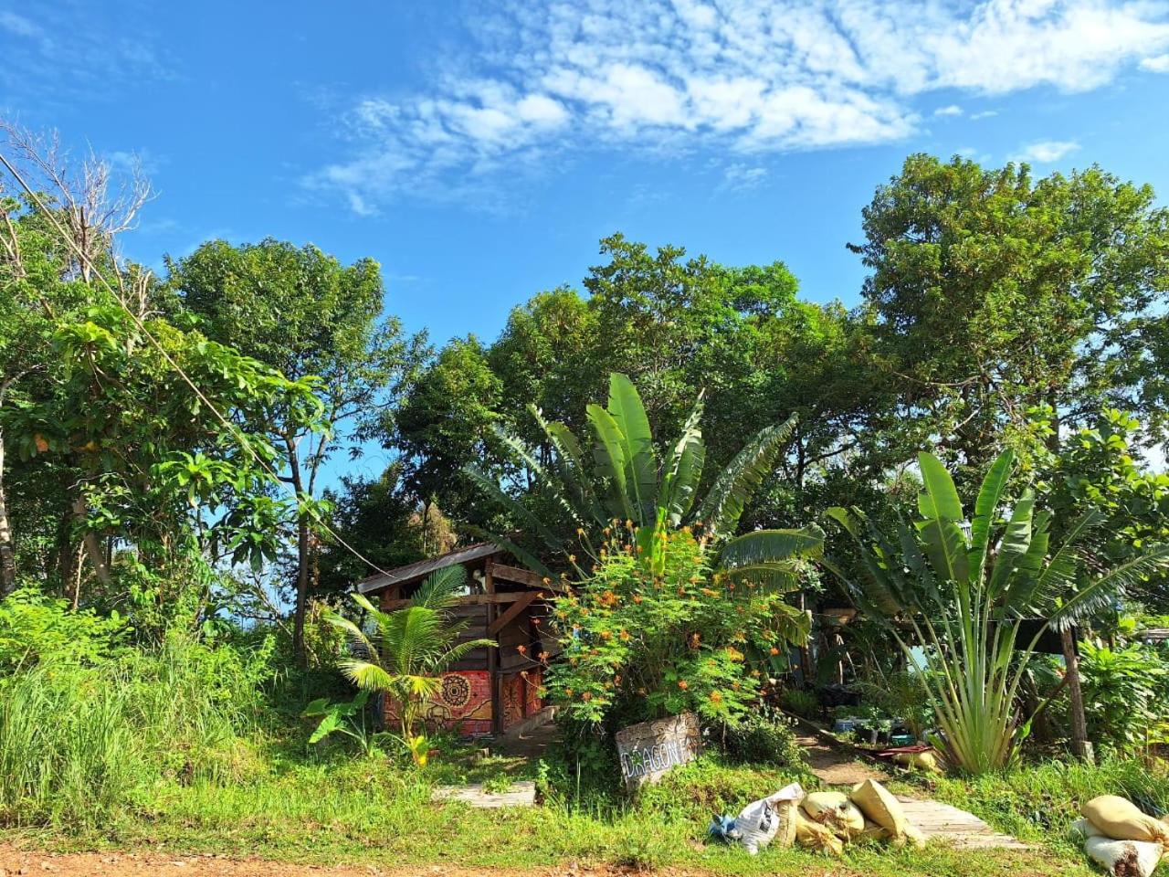 Dragonfly Guesthouse M'Pai Bay