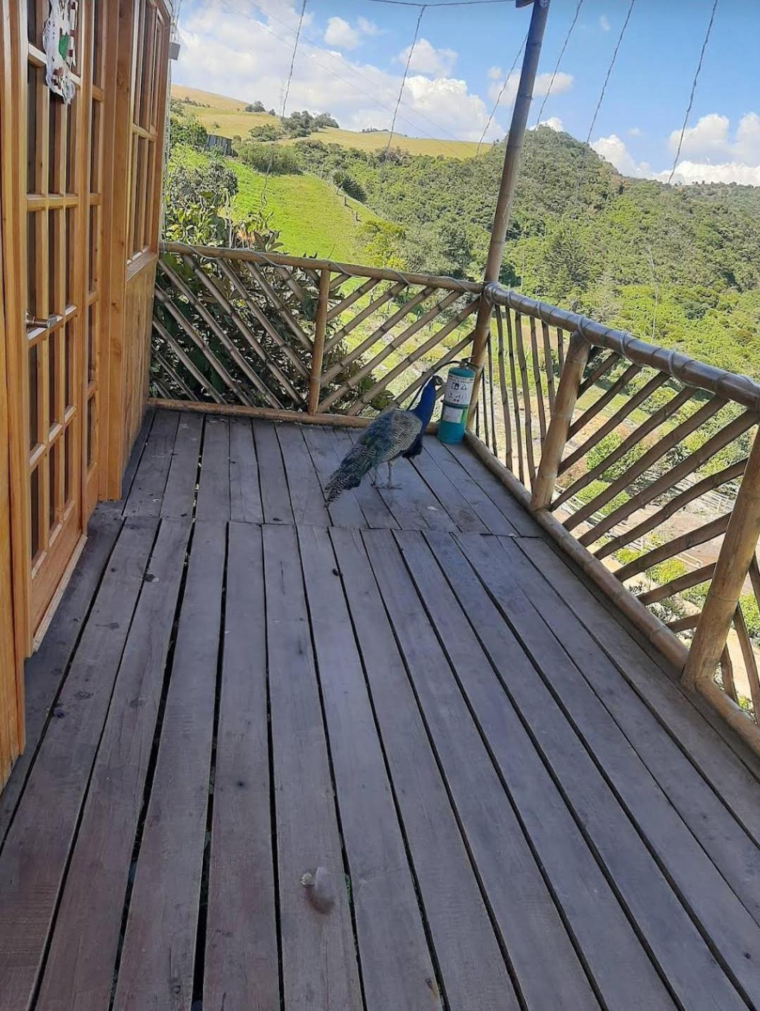 CABAÑA EL LABERINTO