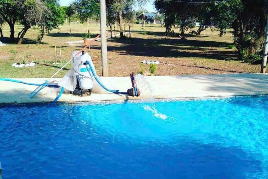 Pura Vida