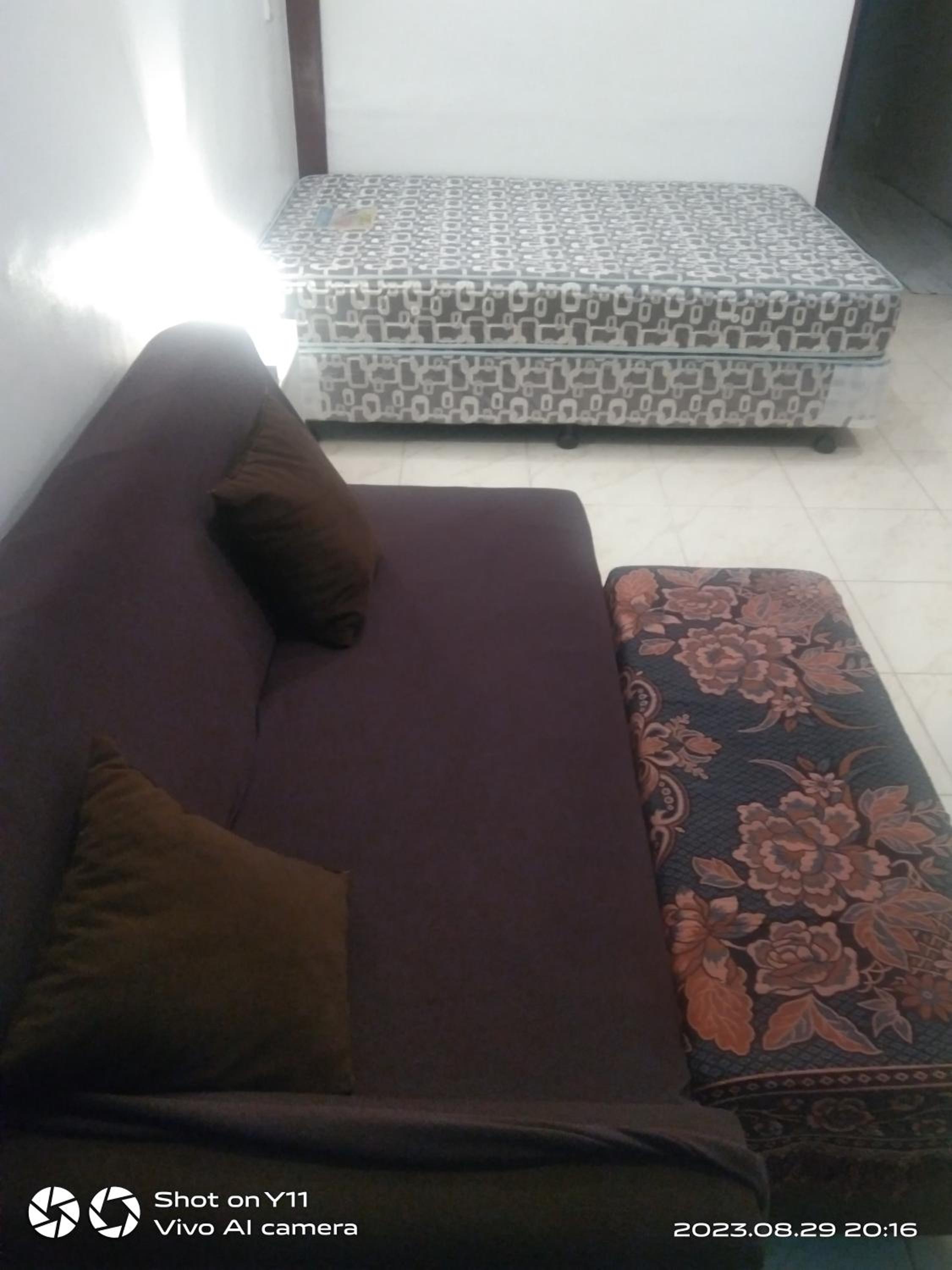 Photo 42