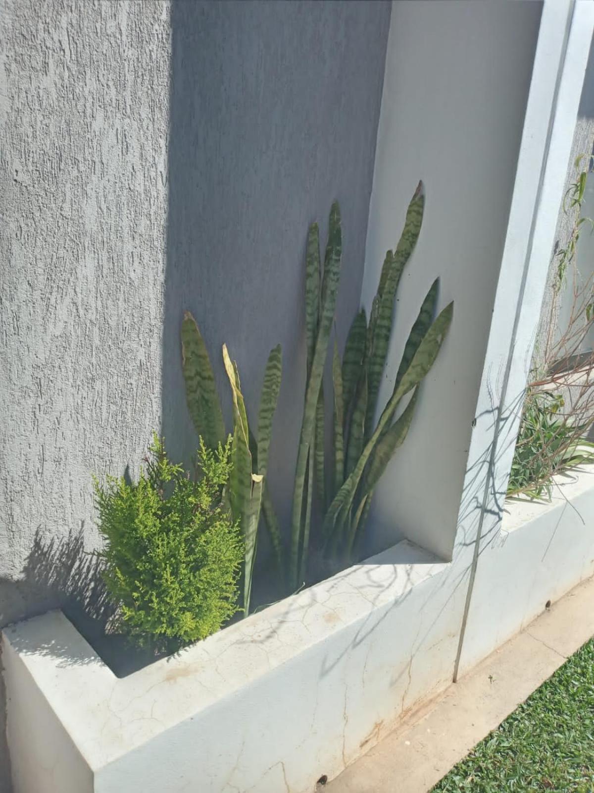 Naturaleza Termal