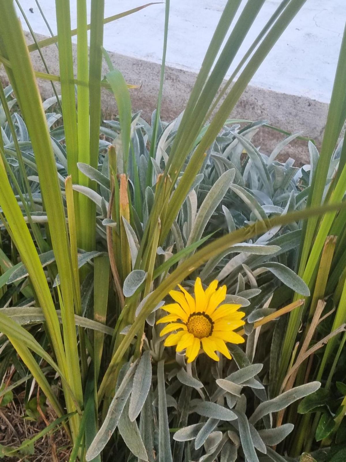 Naturaleza Termal