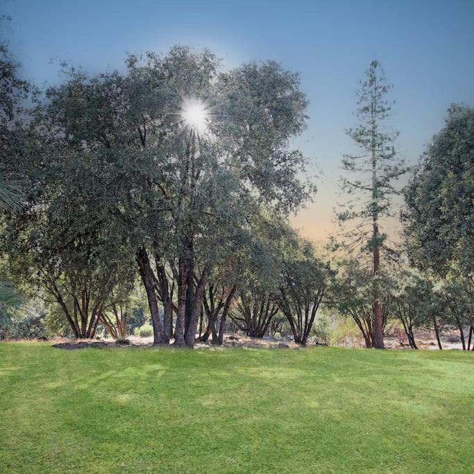 Yosemite Villa - log cabin with spectacular views & stargazing