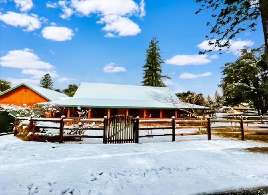 Yosemite Villa - log cabin with spectacular views & stargazing