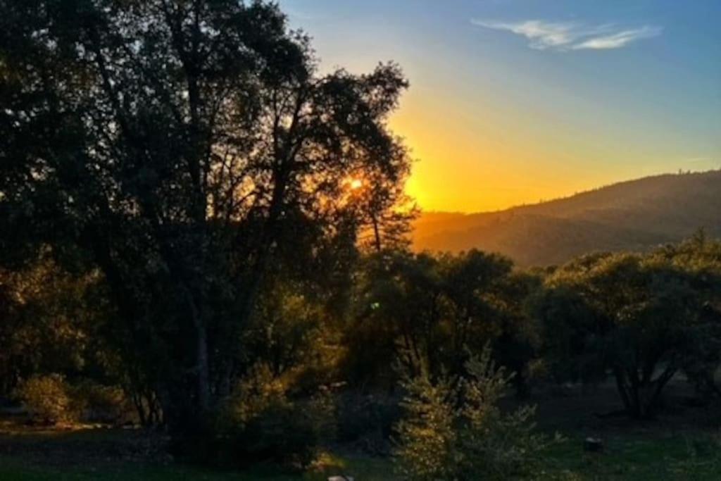 Yosemite Villa - log cabin with spectacular views & stargazing