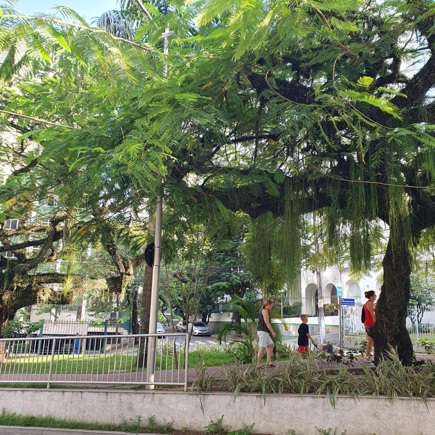 Saint Severe Jardim Apipema