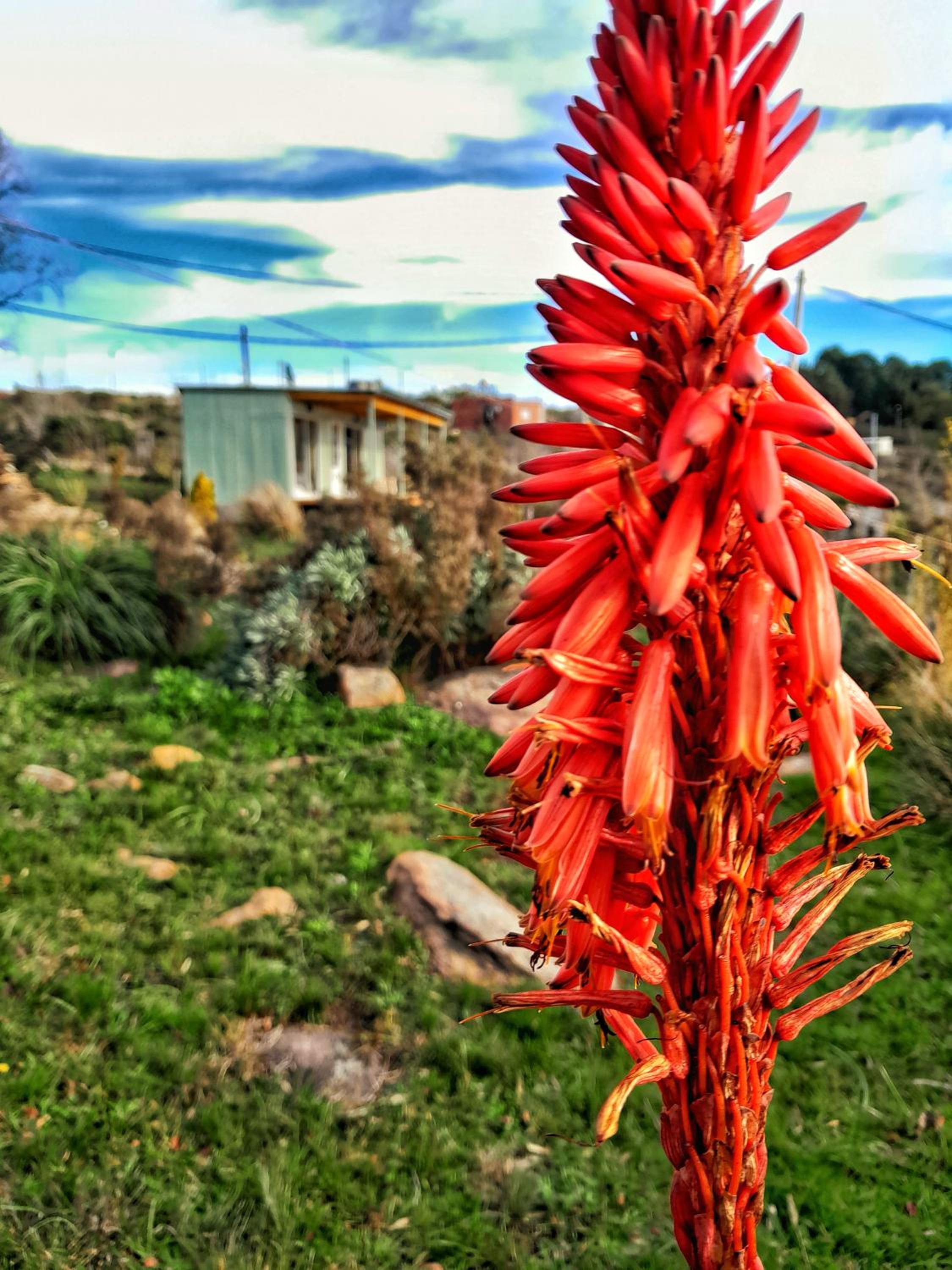 Casa Yenú
