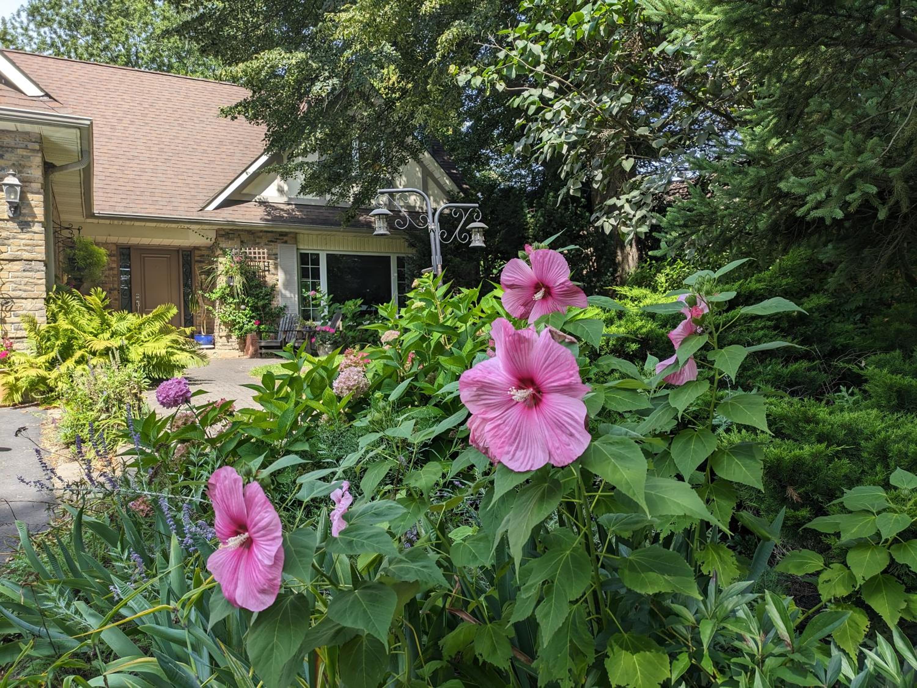 Greater Toronto B&B