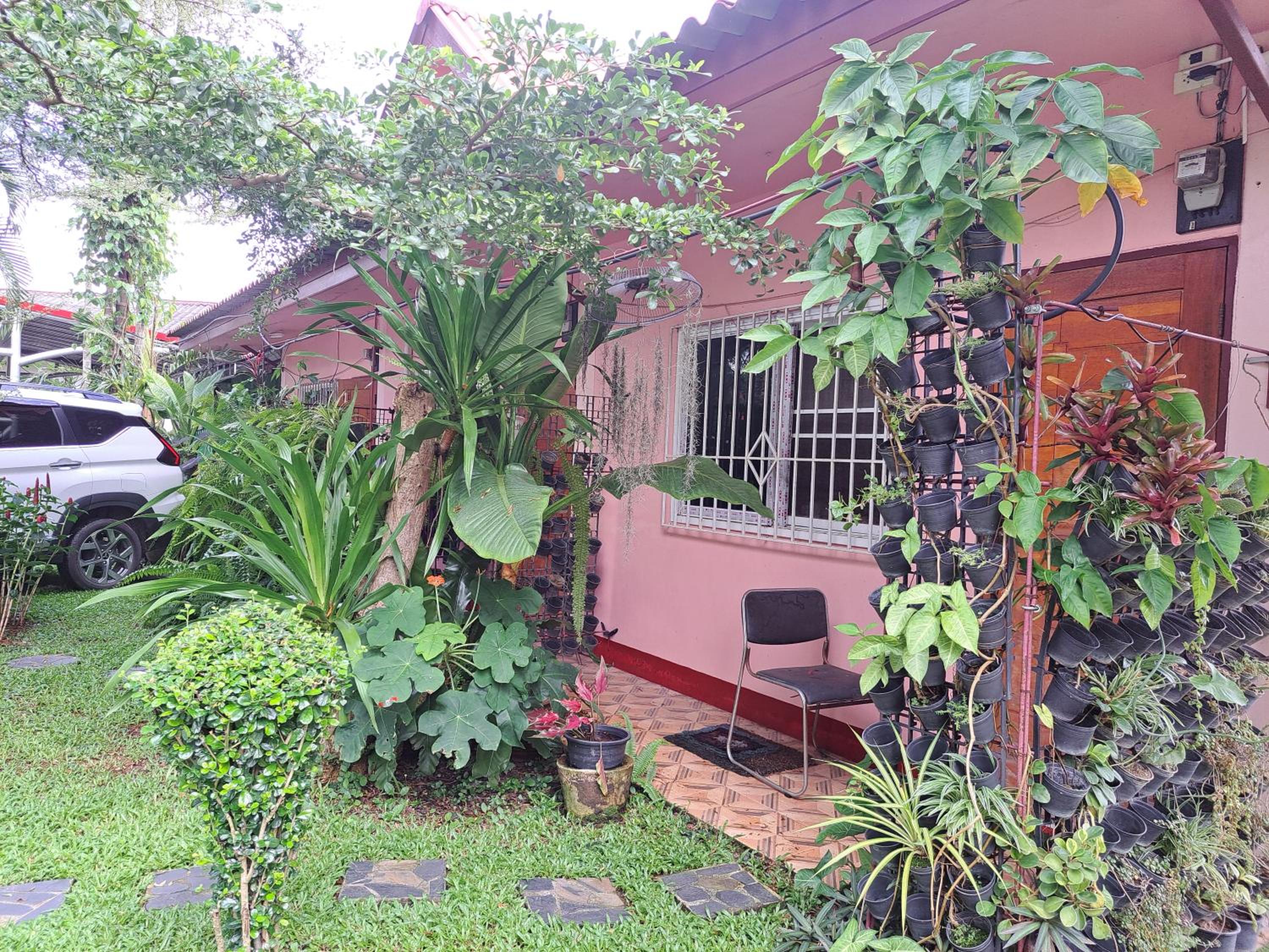 Khuang Na Farmview view 4