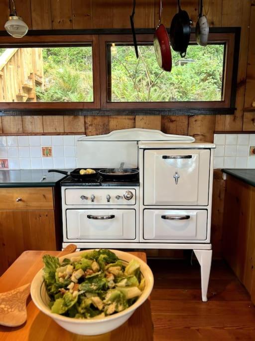 The Salish Sunset Cabin