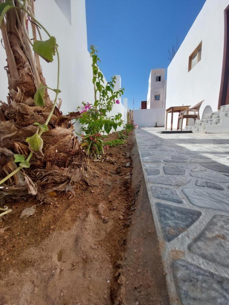 Villa la Calma Dahab