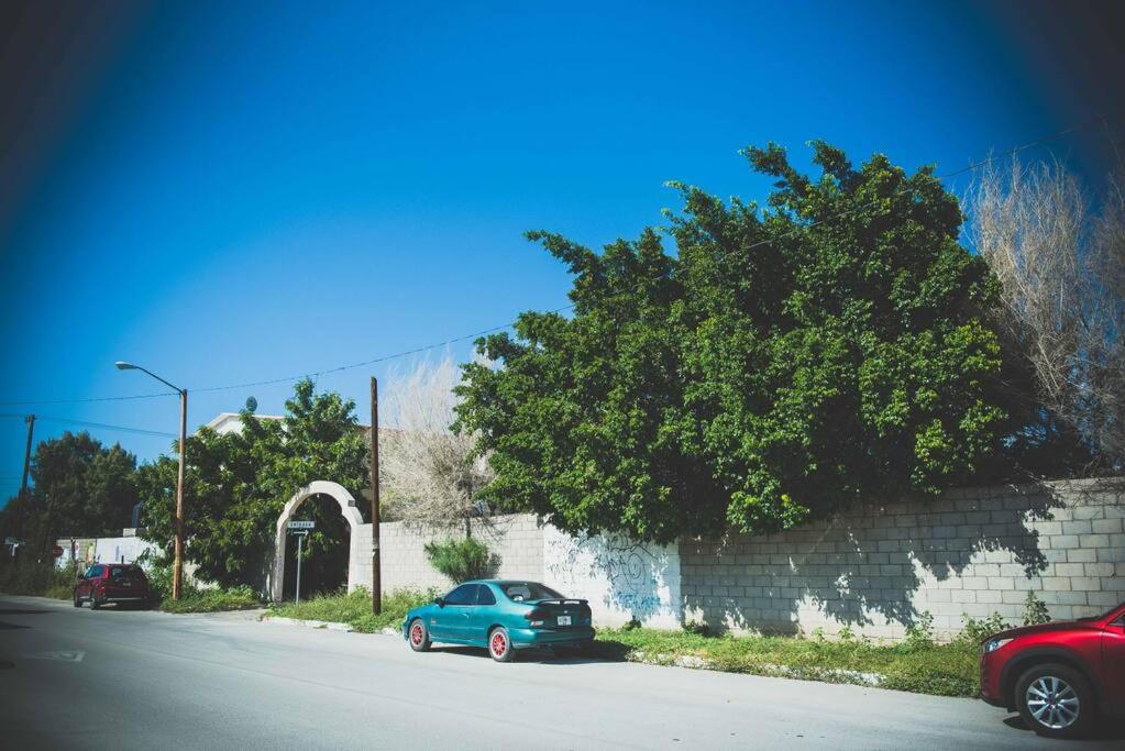 Photo 9