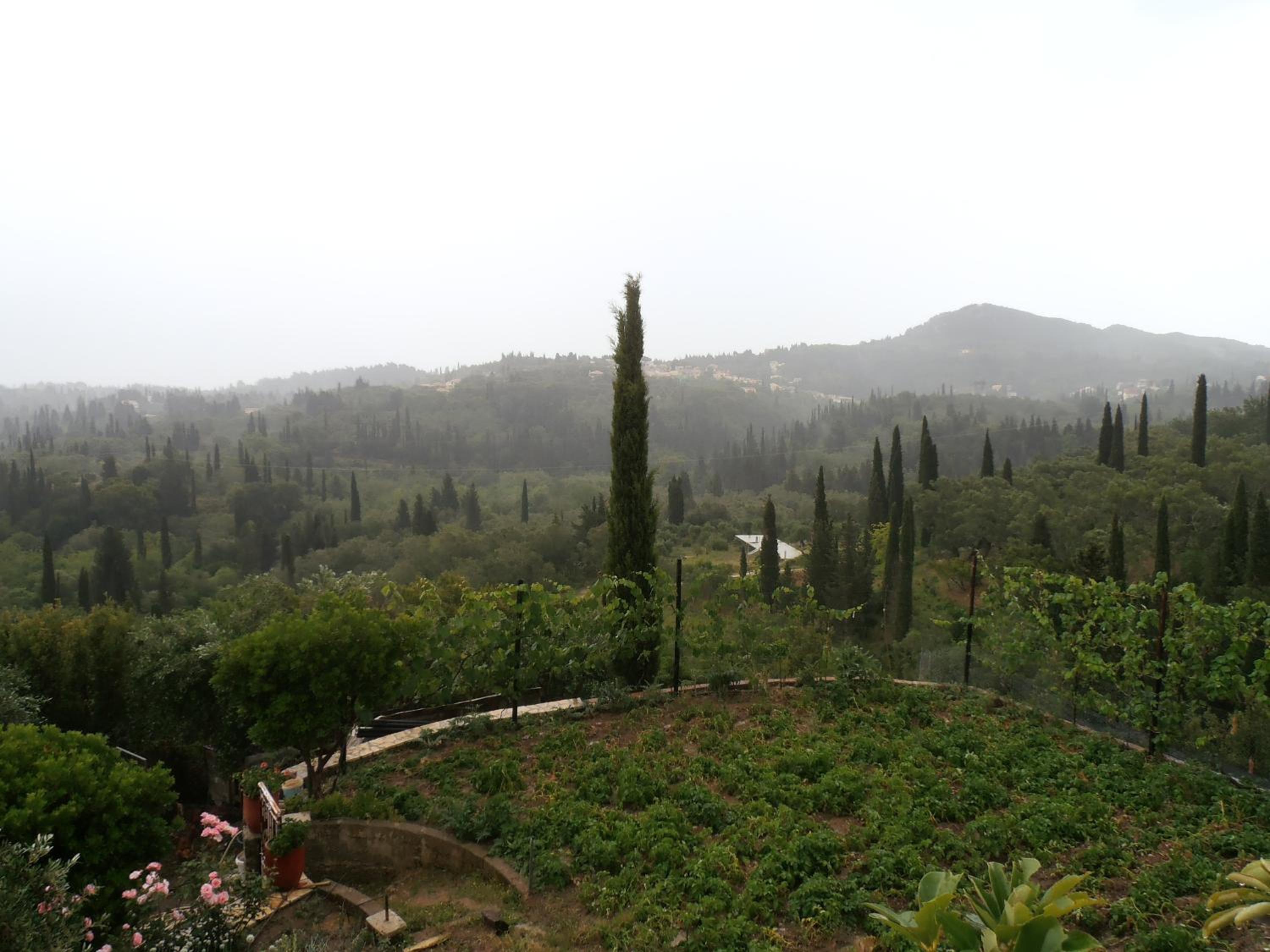 Photo 49