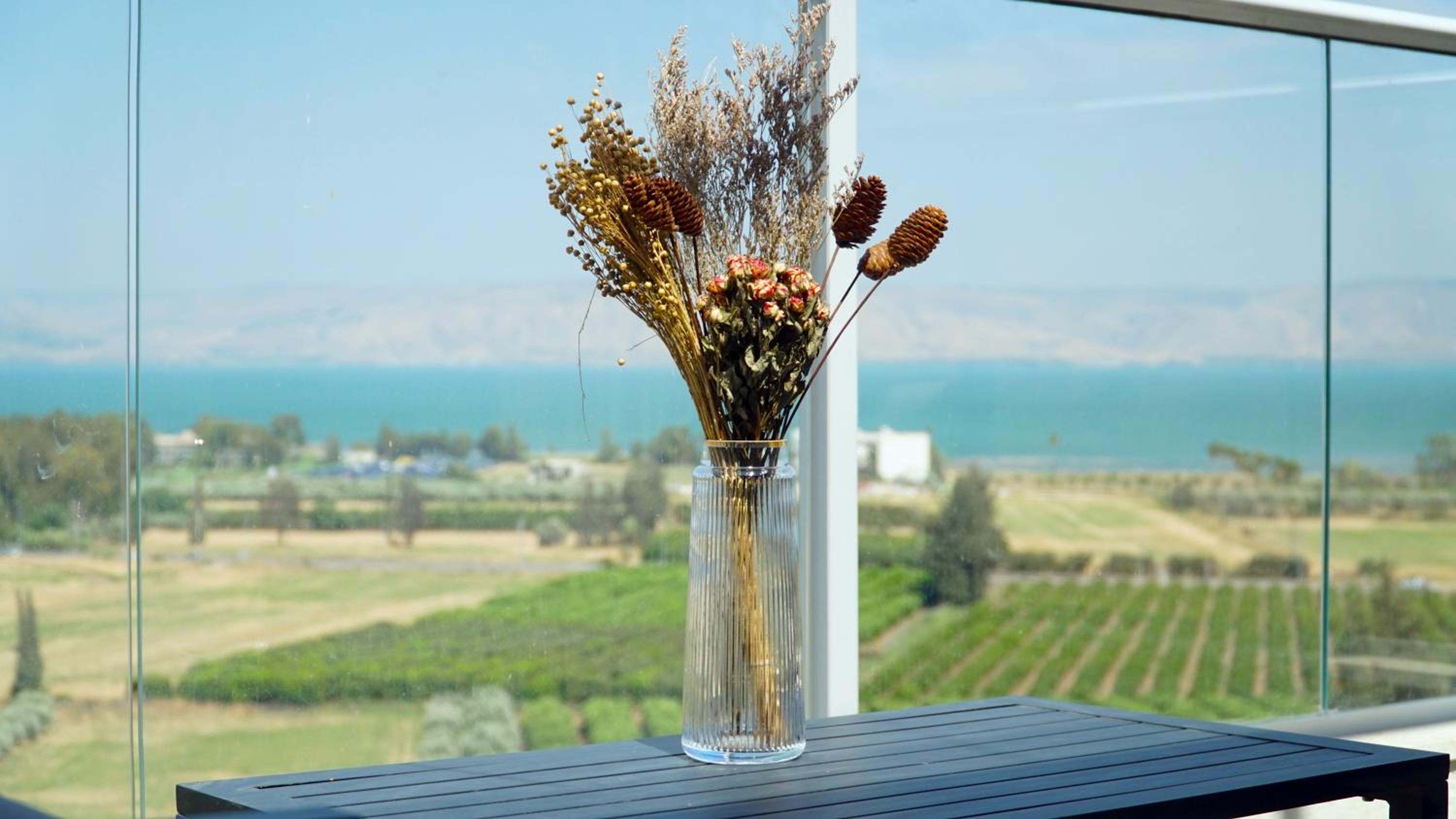 Calma Villa Sea of galilee