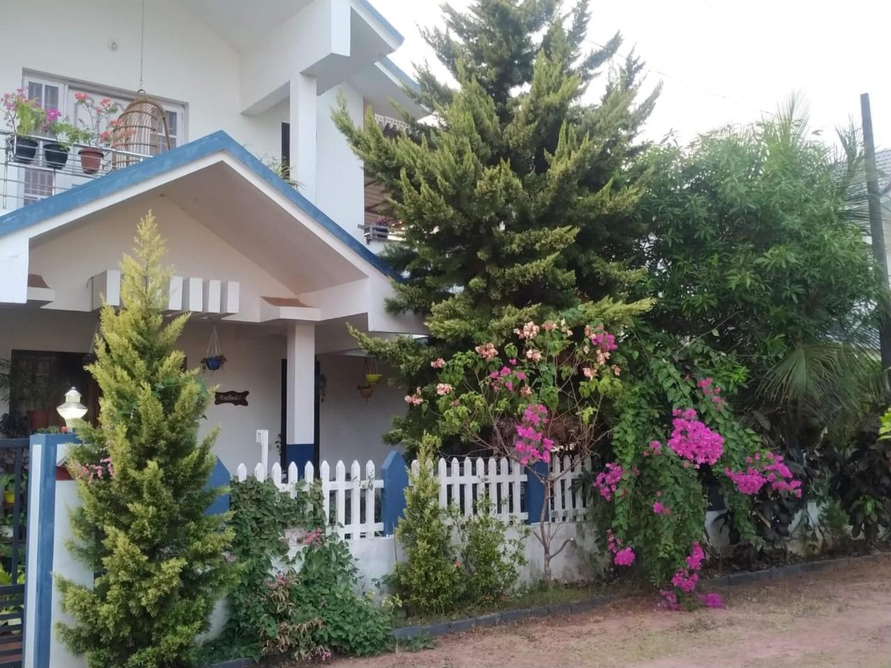 Daffodil