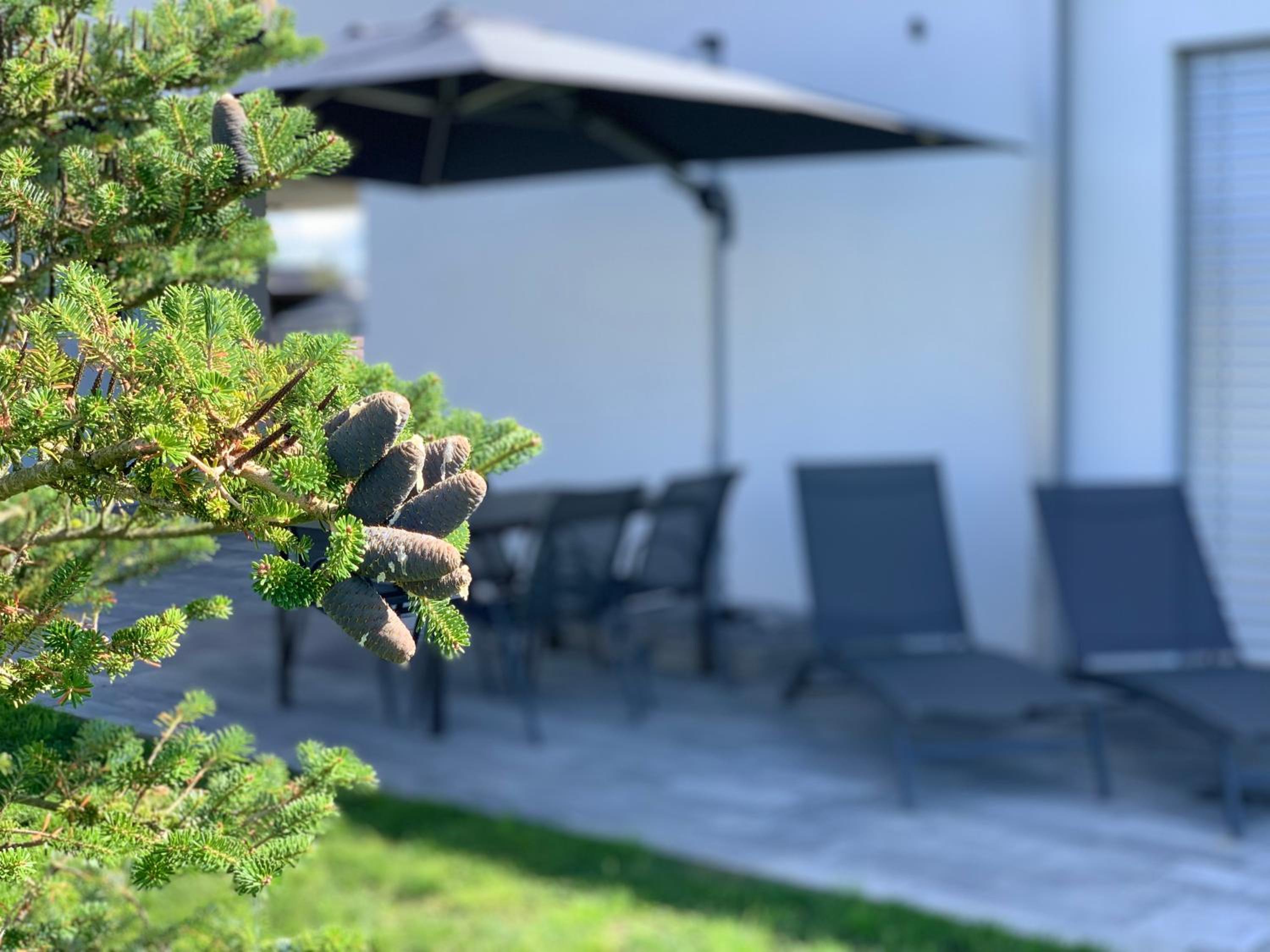 AirbnbTřeboň - modern apartment