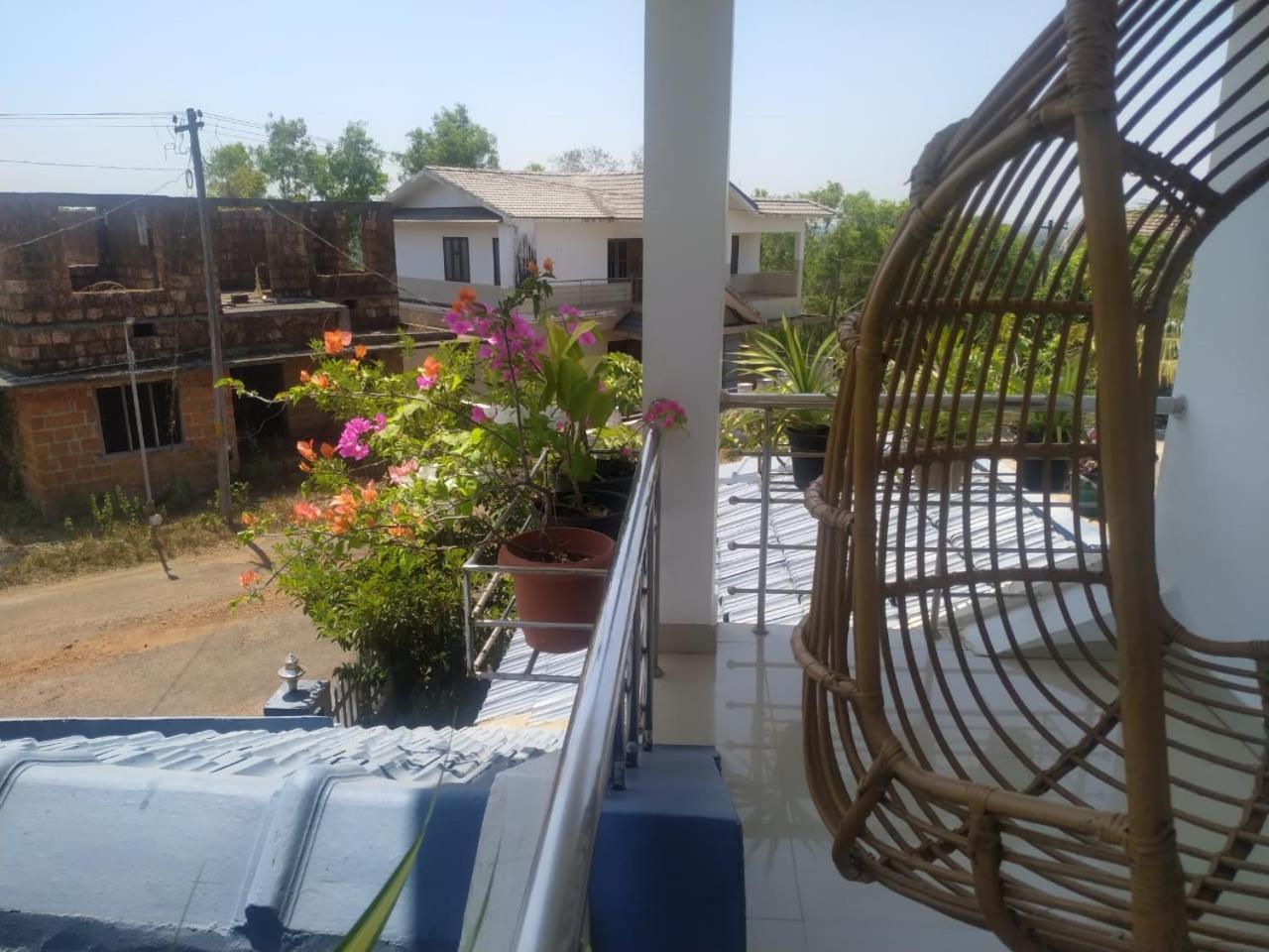 Daffodil