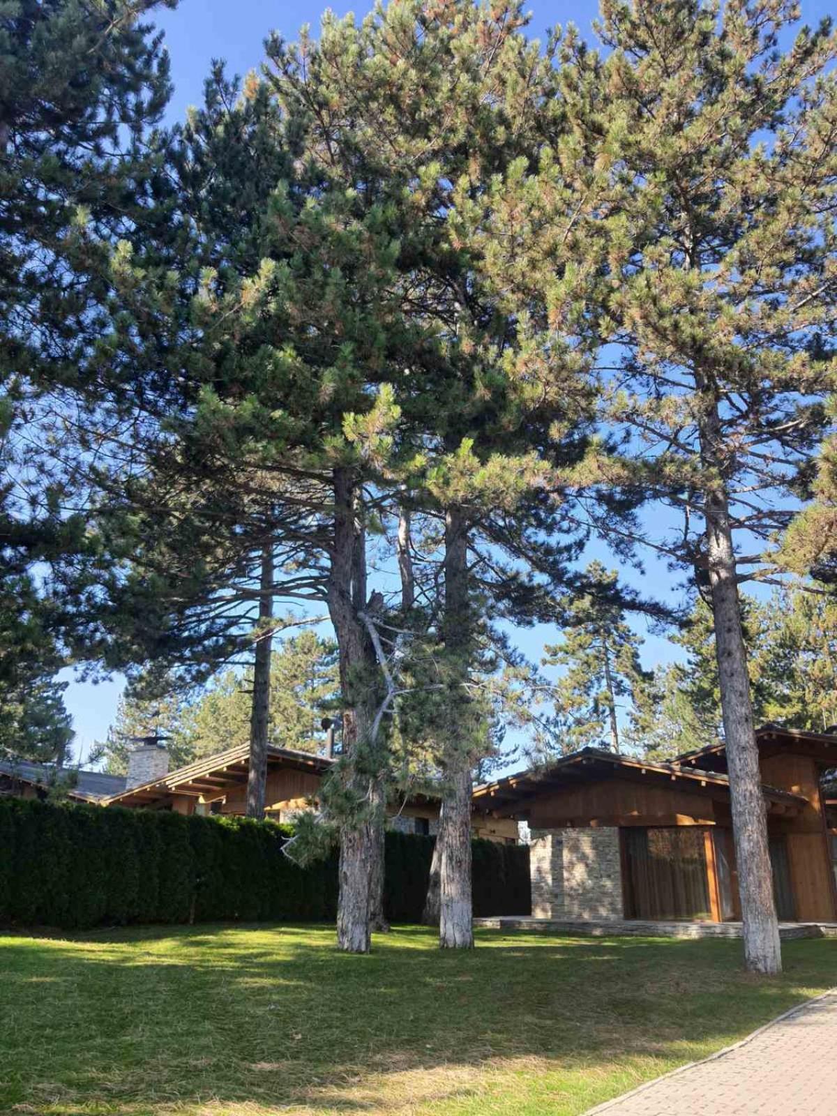 Rustic Spa at Pirin Golf