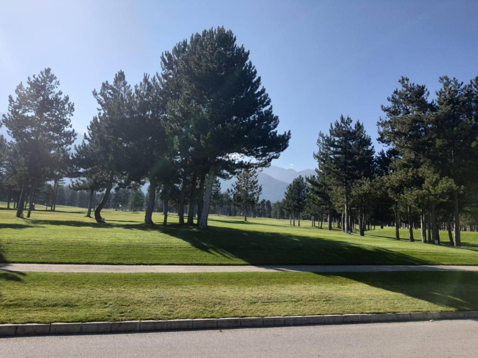 Vintage studio at Pirin golf
