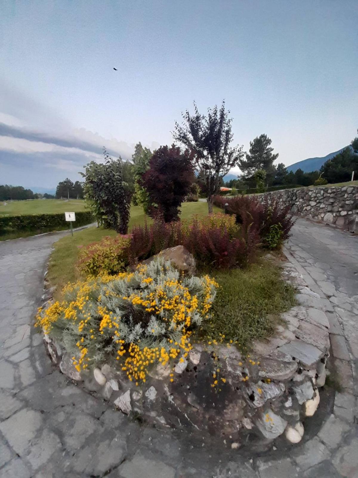 Vintage studio at Pirin golf