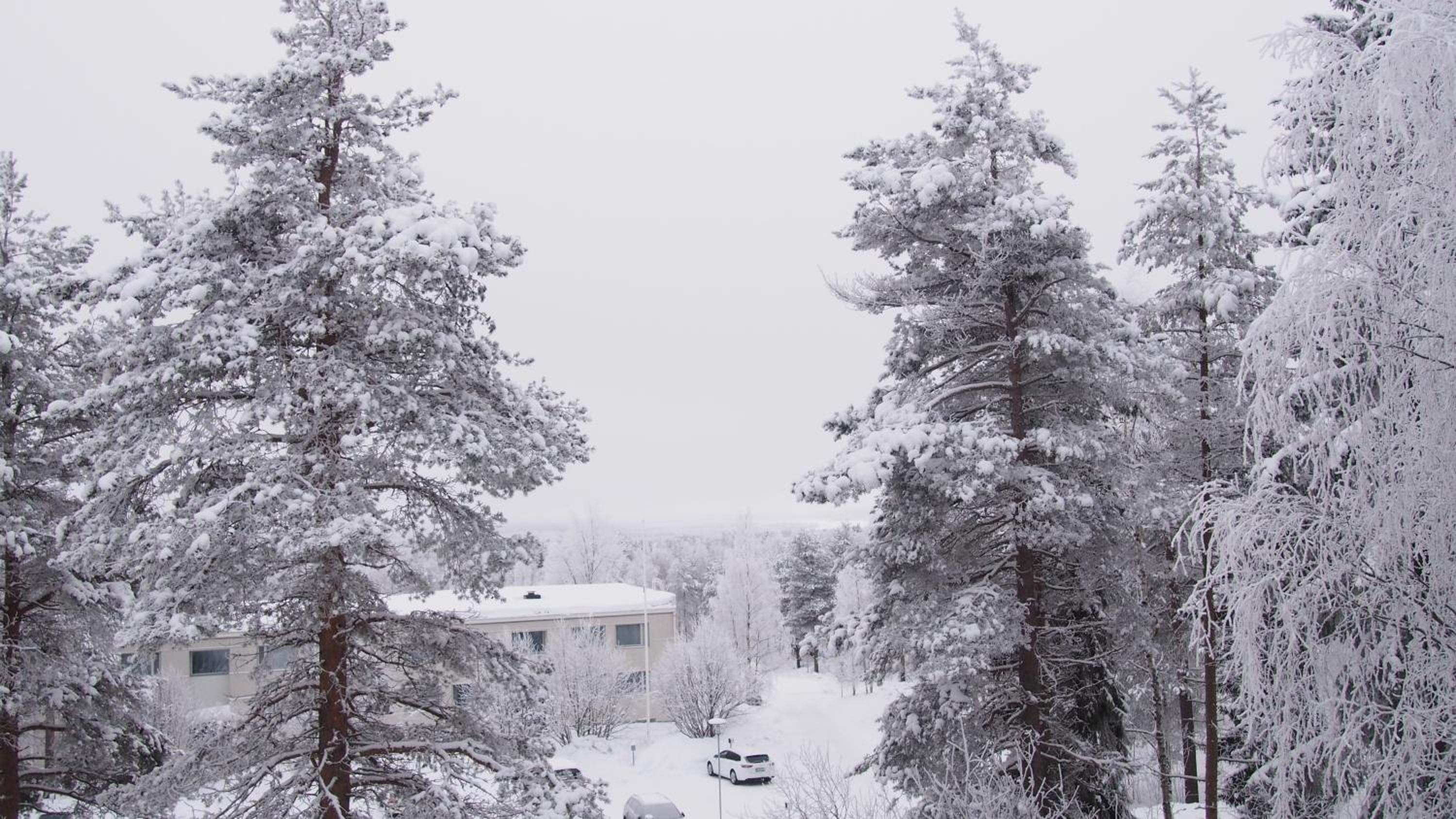Jänkä Room