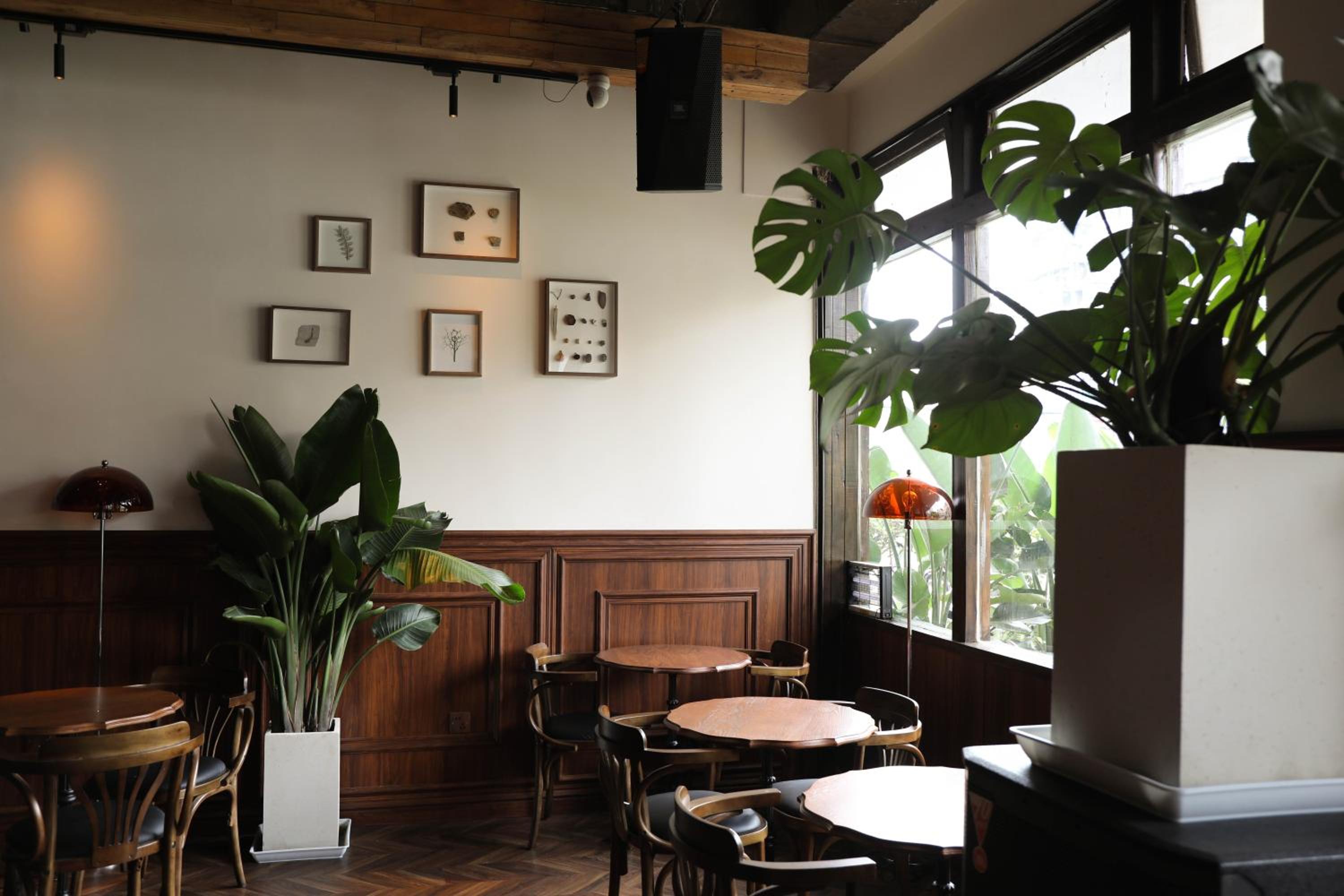 Photo 55 sur 117 de SONDERIA Hostel & Bar - Lazybones