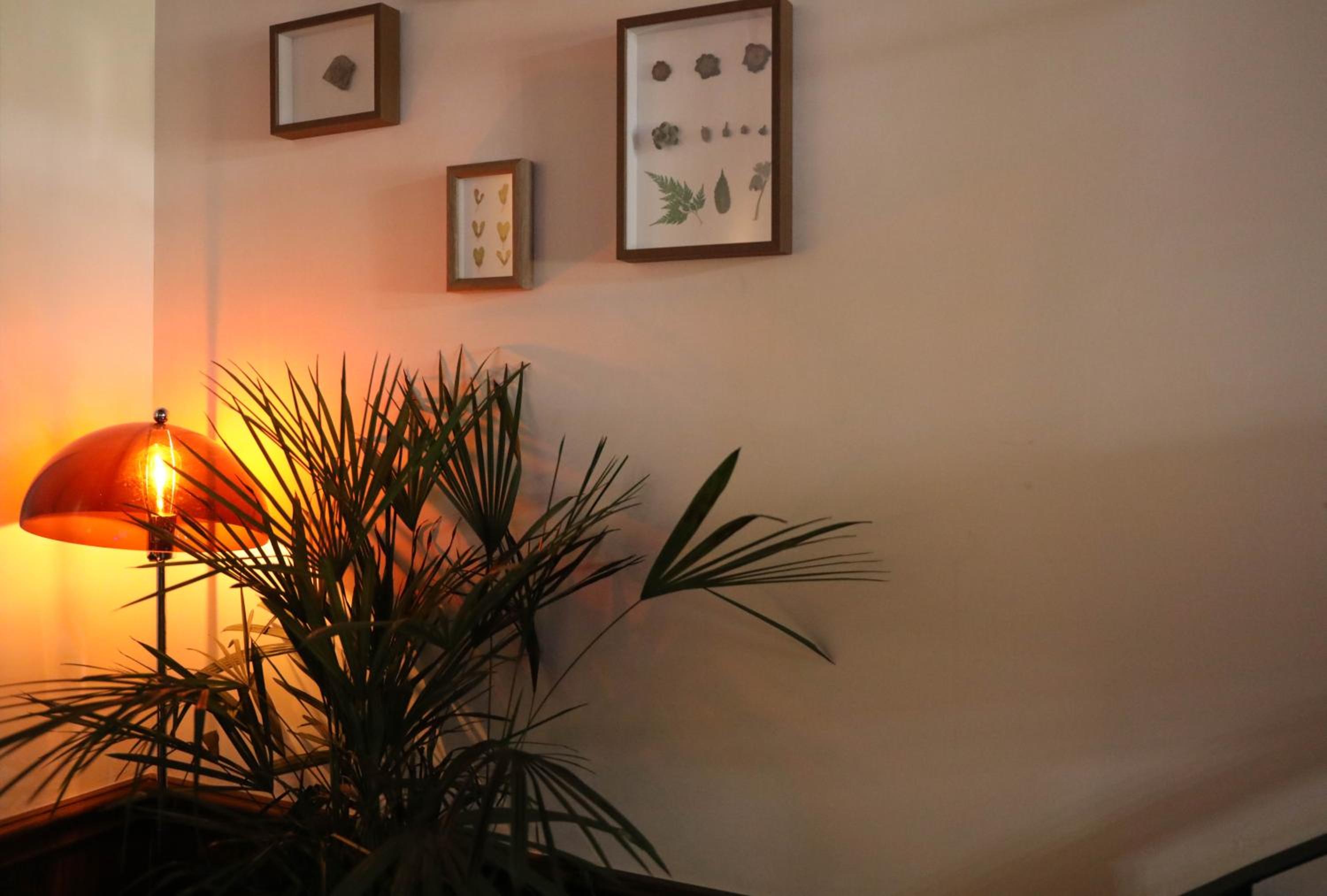 Photo 95 sur 117 de SONDERIA Hostel & Bar - Lazybones