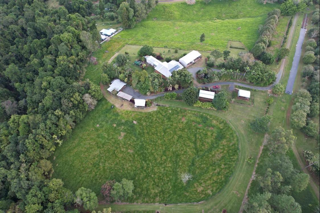 Mena Creek Flower House