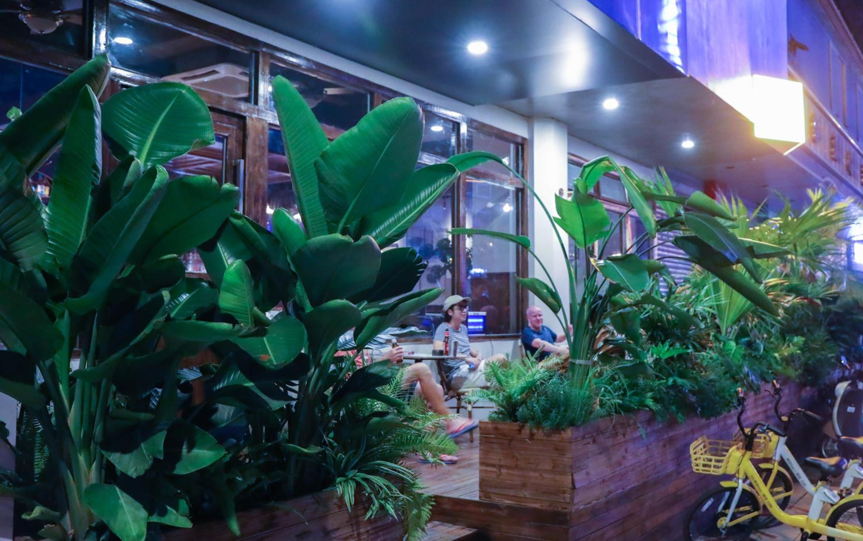 Photo 89 sur 117 de SONDERIA Hostel & Bar - Lazybones