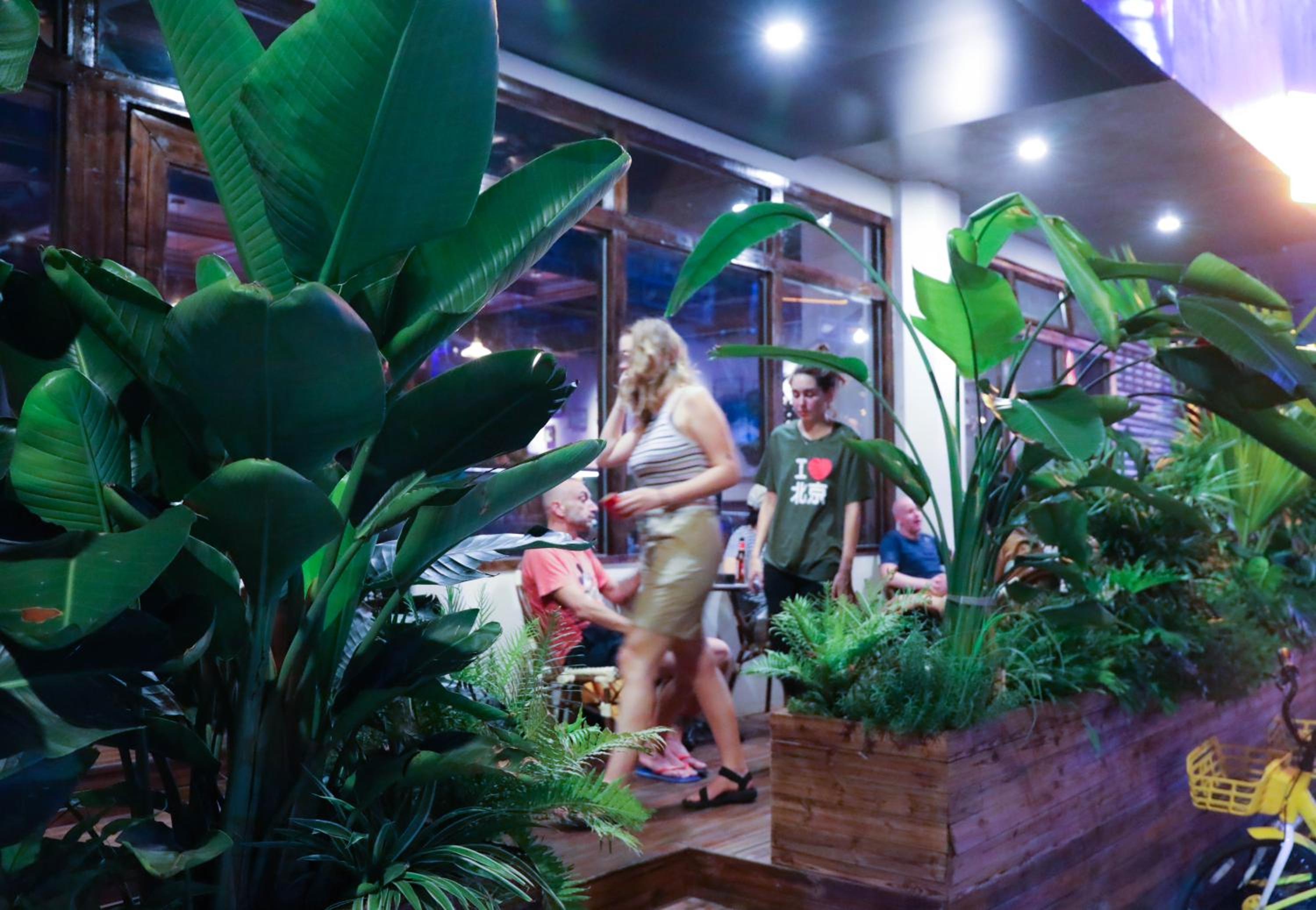 Photo 108 sur 117 de SONDERIA Hostel & Bar - Lazybones