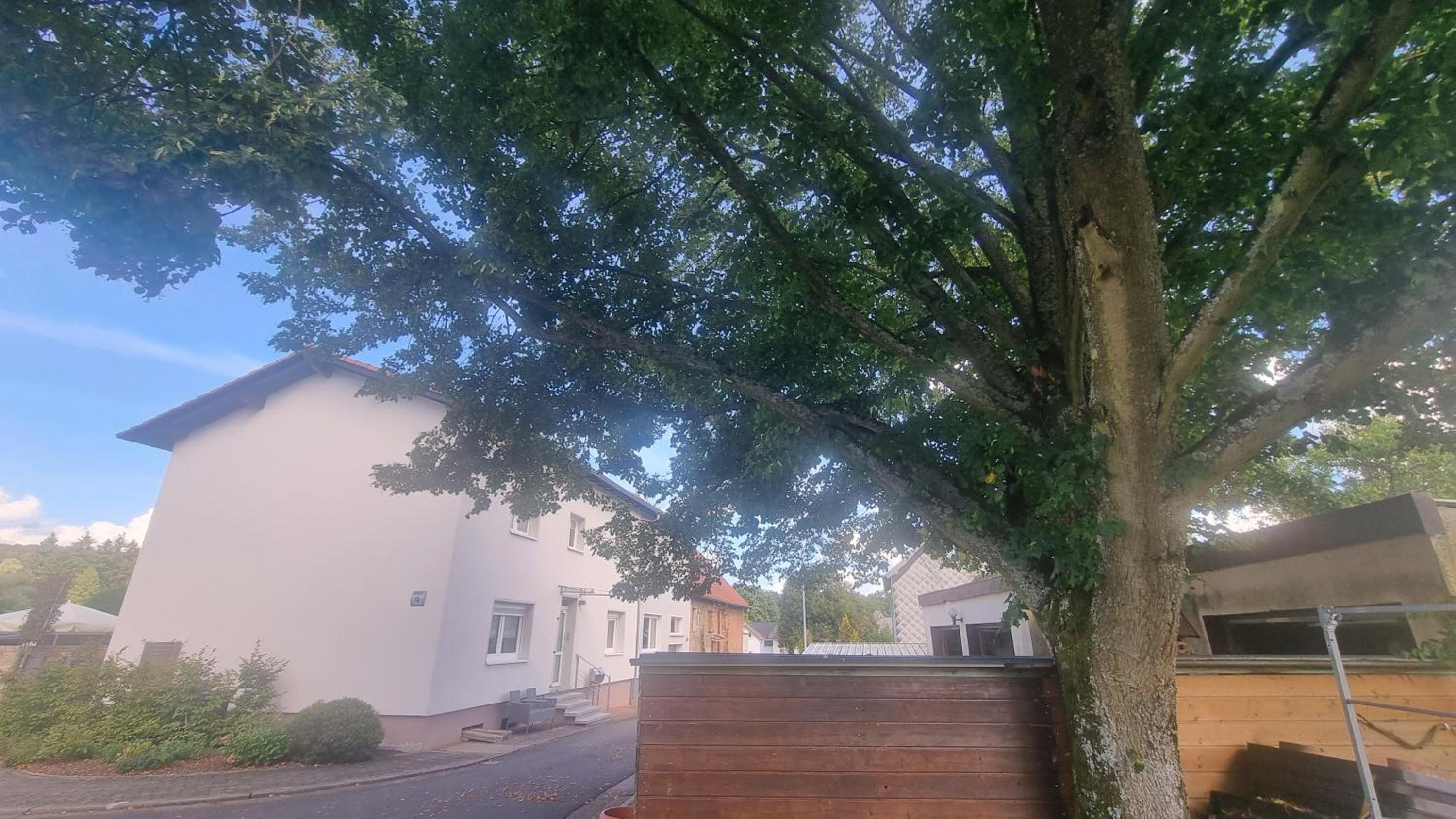 Unter der Linde