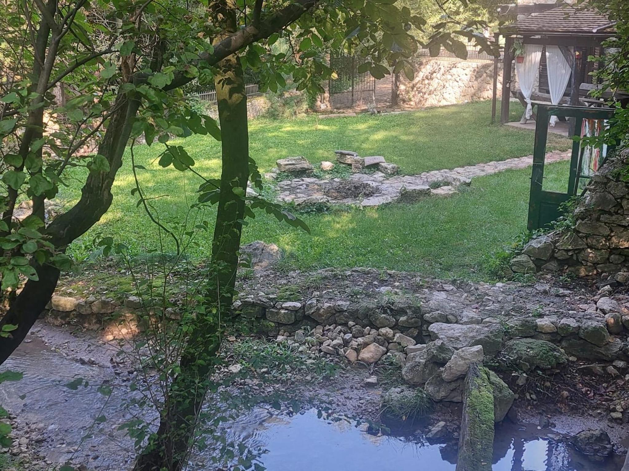 Photo 11
