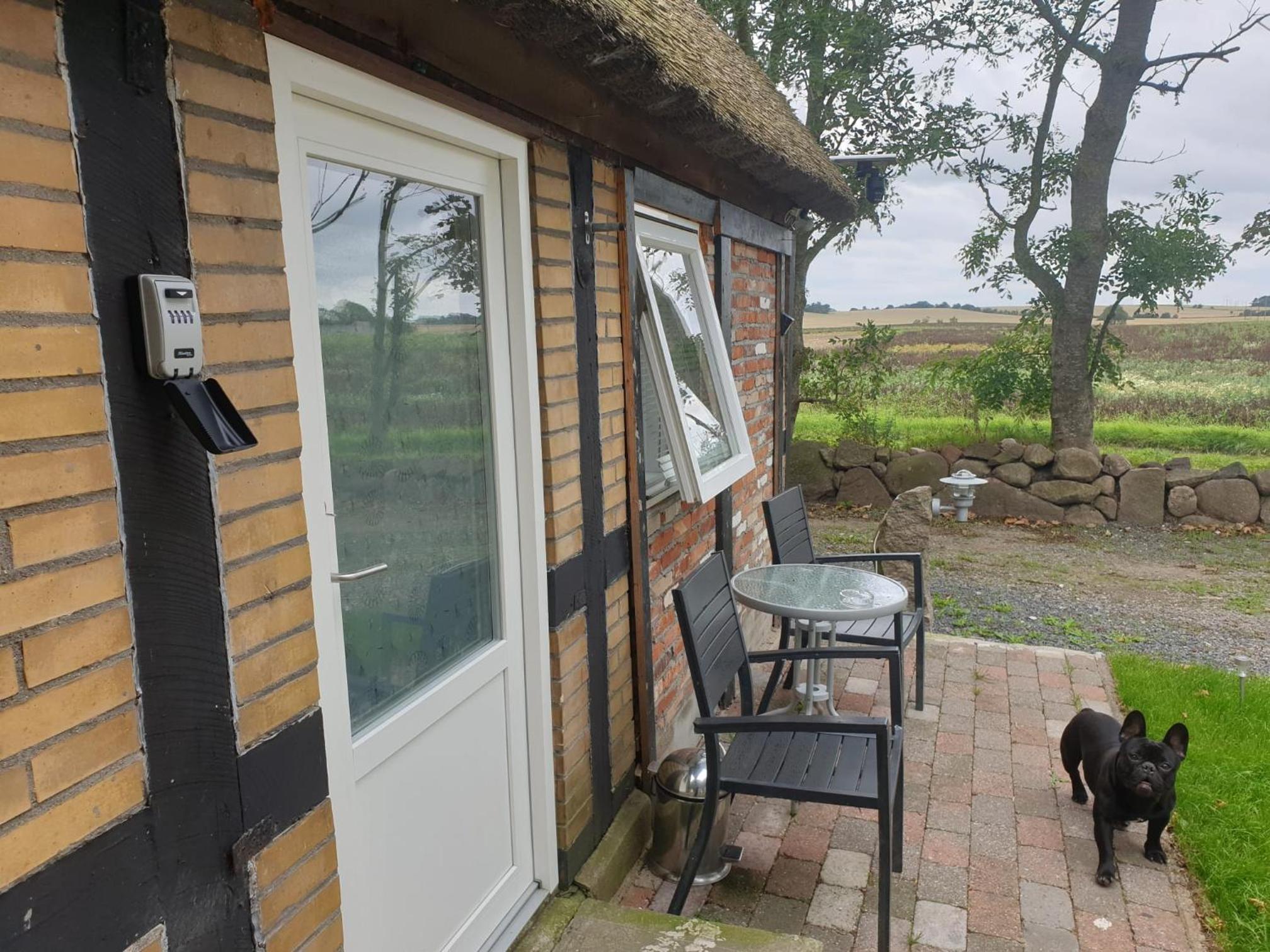 Cozy Hideaway - Rustic Charm & Outdoor Adventure 1
