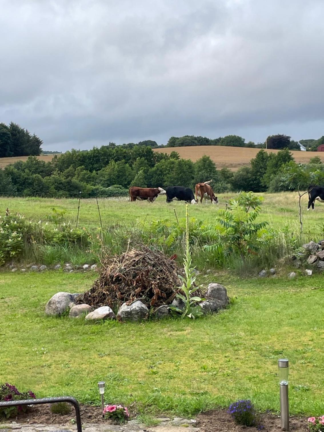 Naturen tæt på. Mærk stilheden! view 2