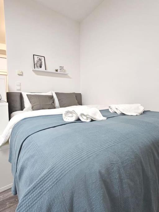 Vienna Vacations - Affordable Suite in Vienna's Hotpoint - Property Image 24
