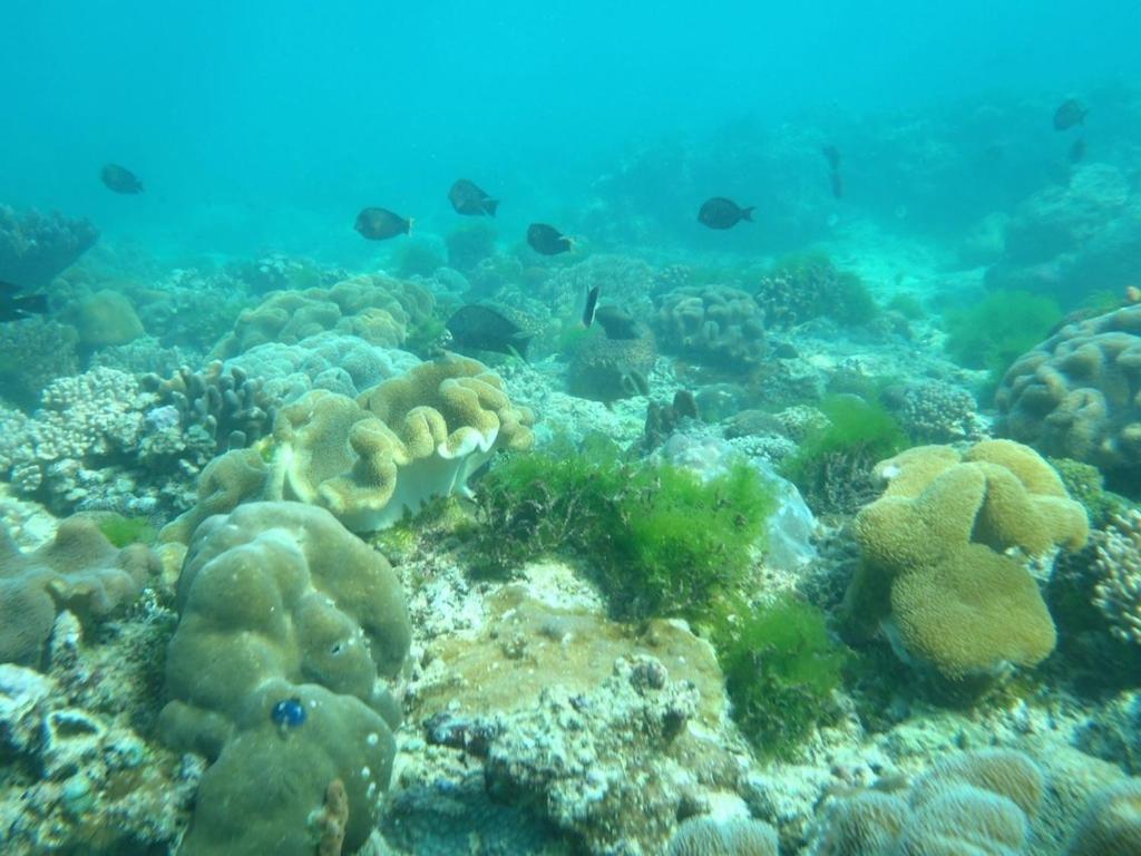 Photo 28