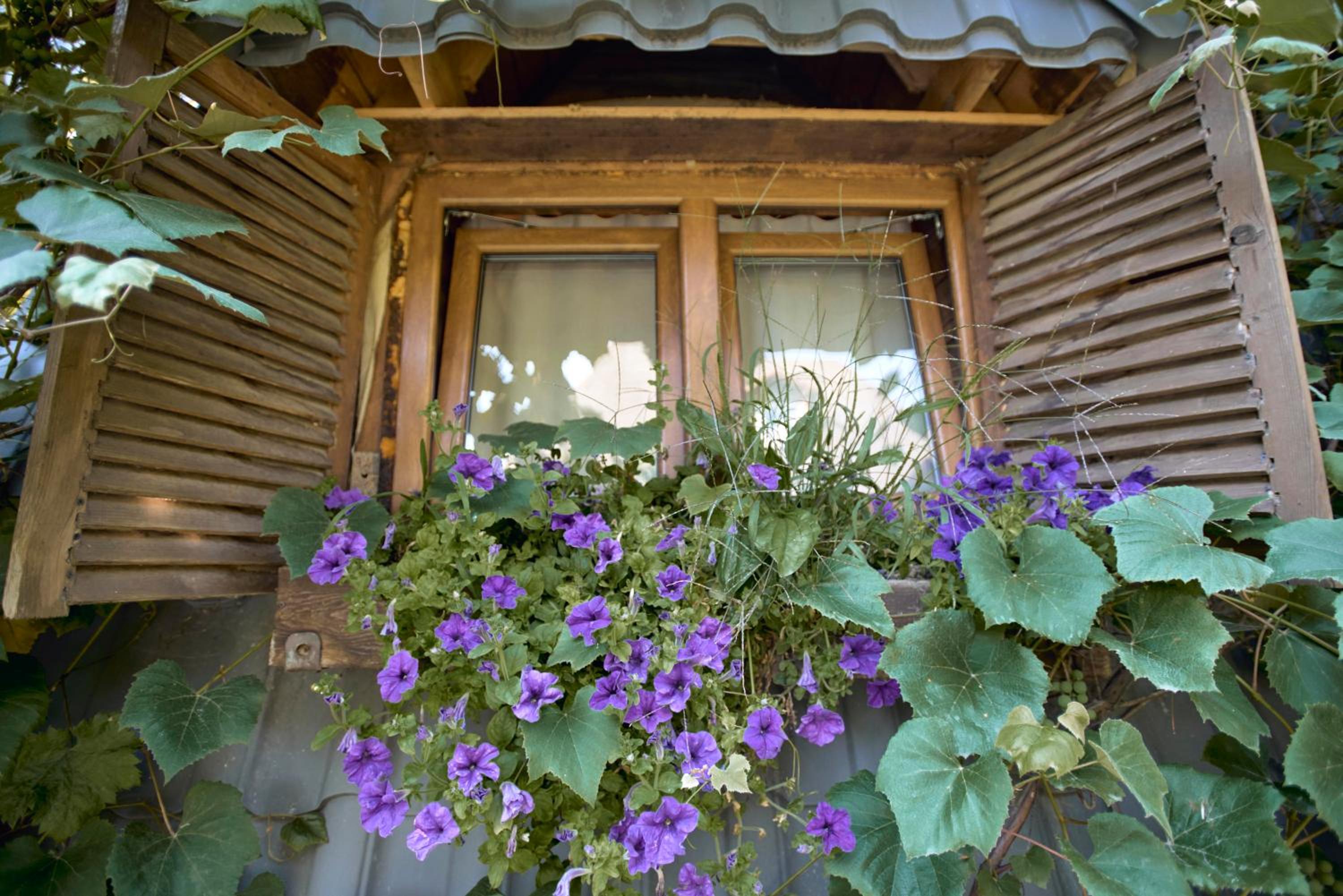 Baba Yagas house, photo 10