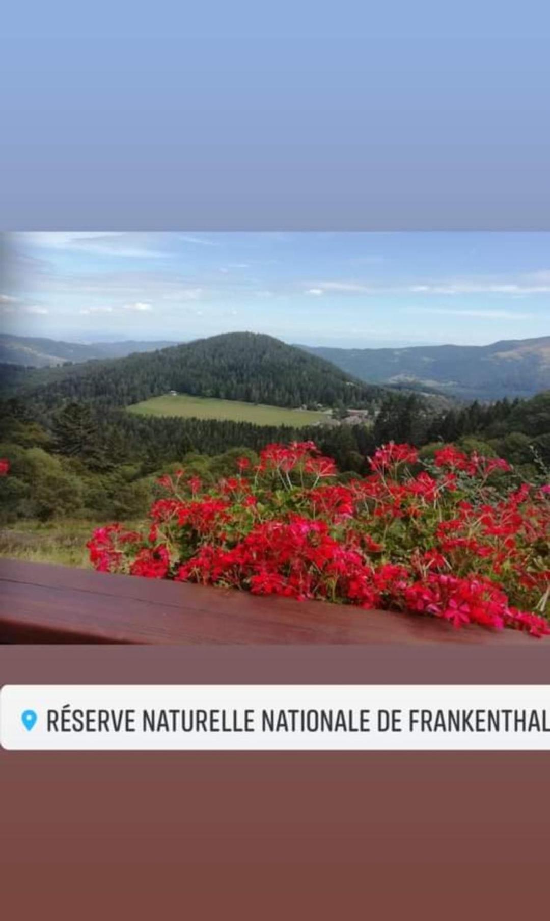 Les studios du frankenthal view 2