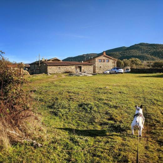La Candileja