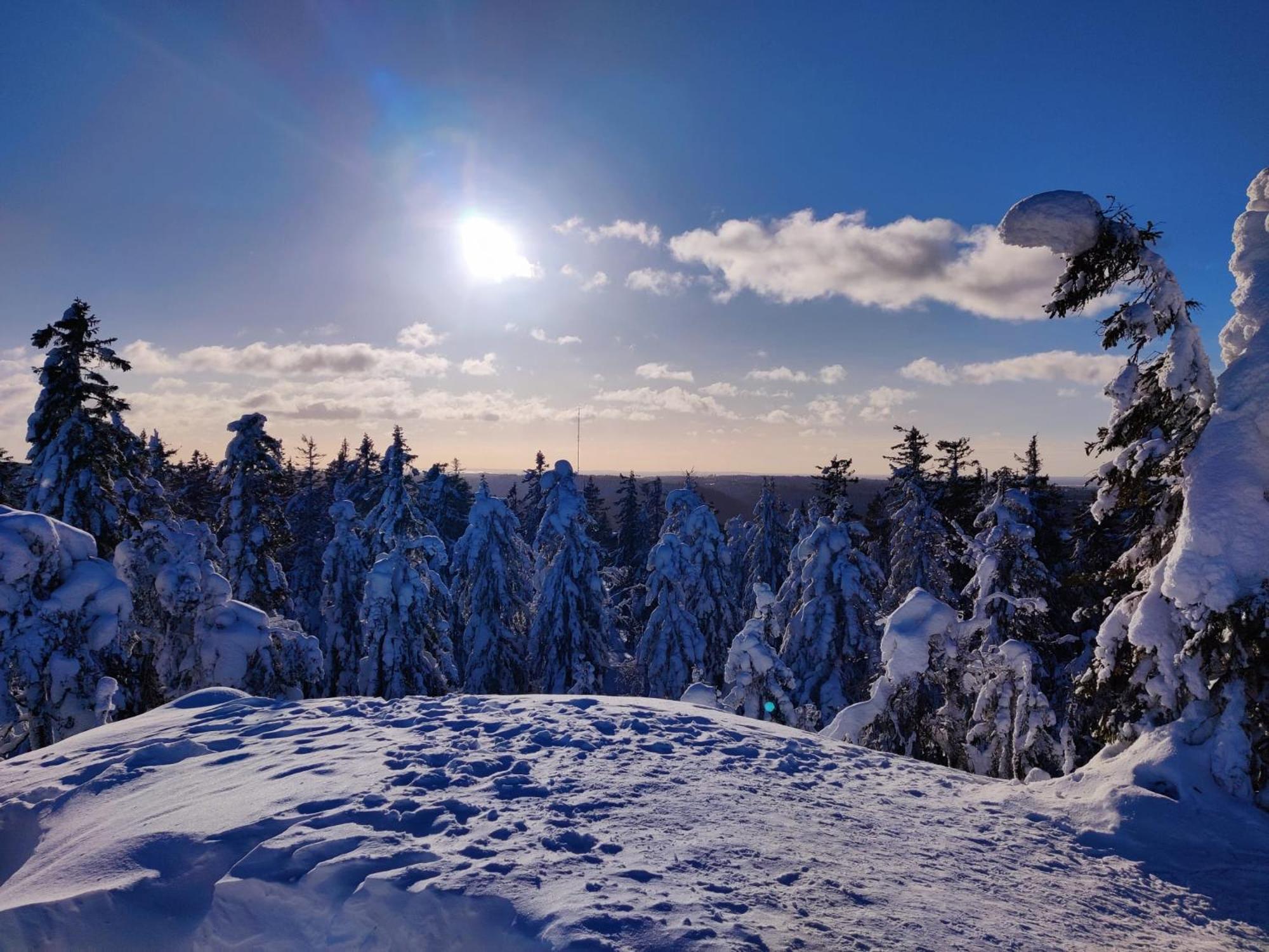 Saunaharju 5 järven rannalla