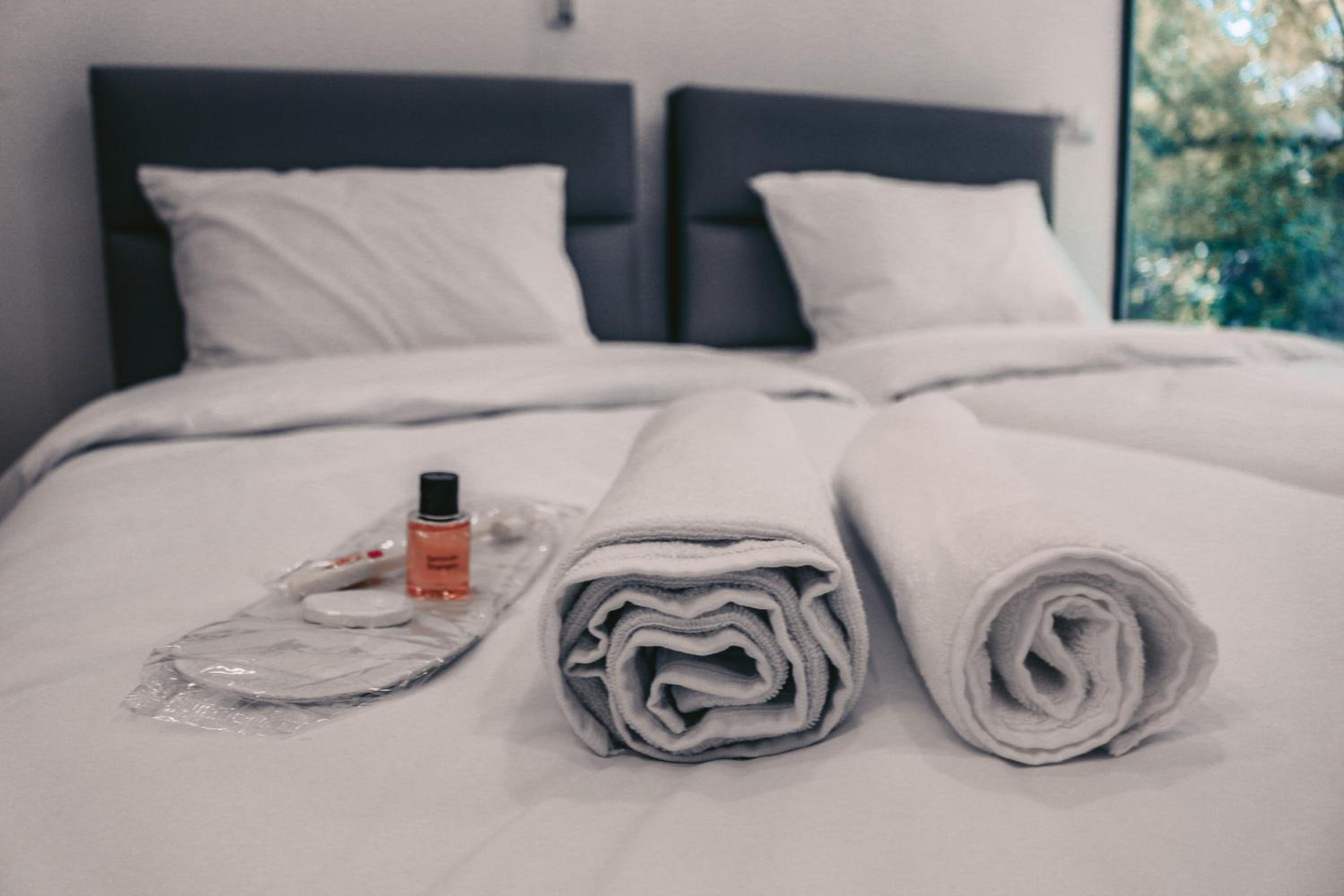 Apple cozy hotel view 5