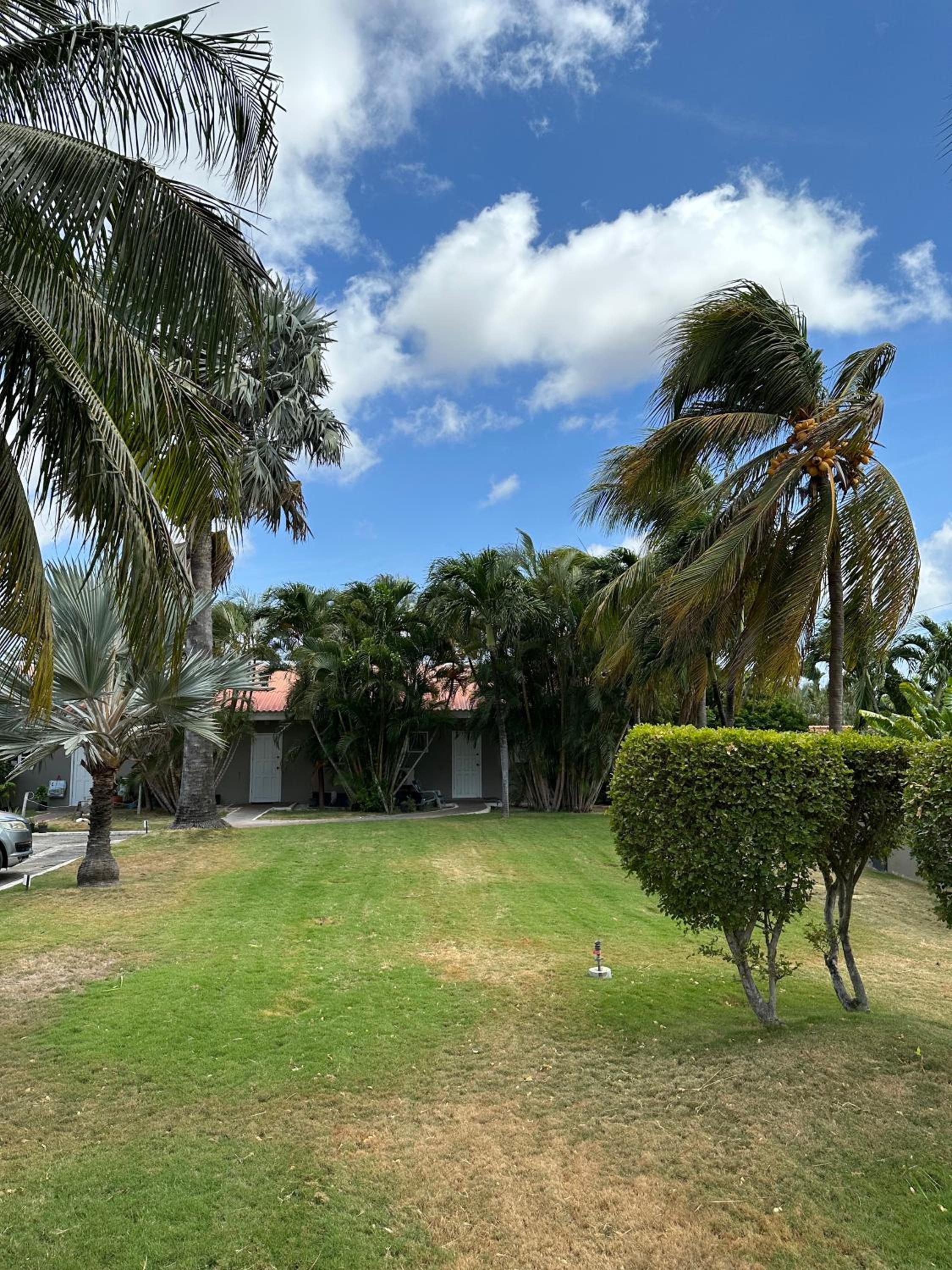Windmill Apartments Curacao