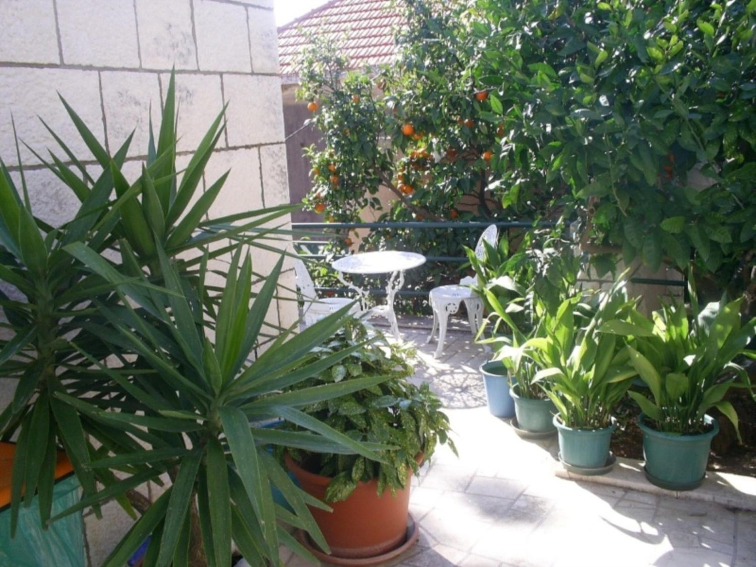 Dubrovnik Sea View Apartment