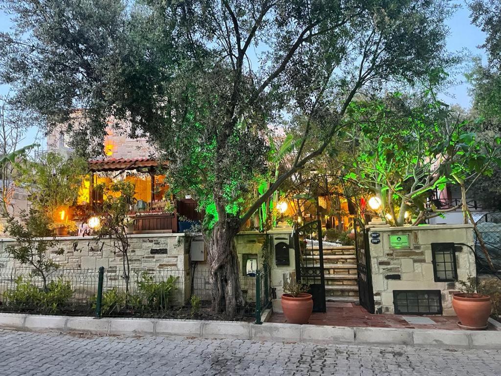 Palmiye Evi view 4