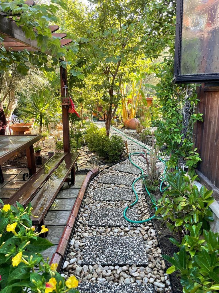 Photo 6
