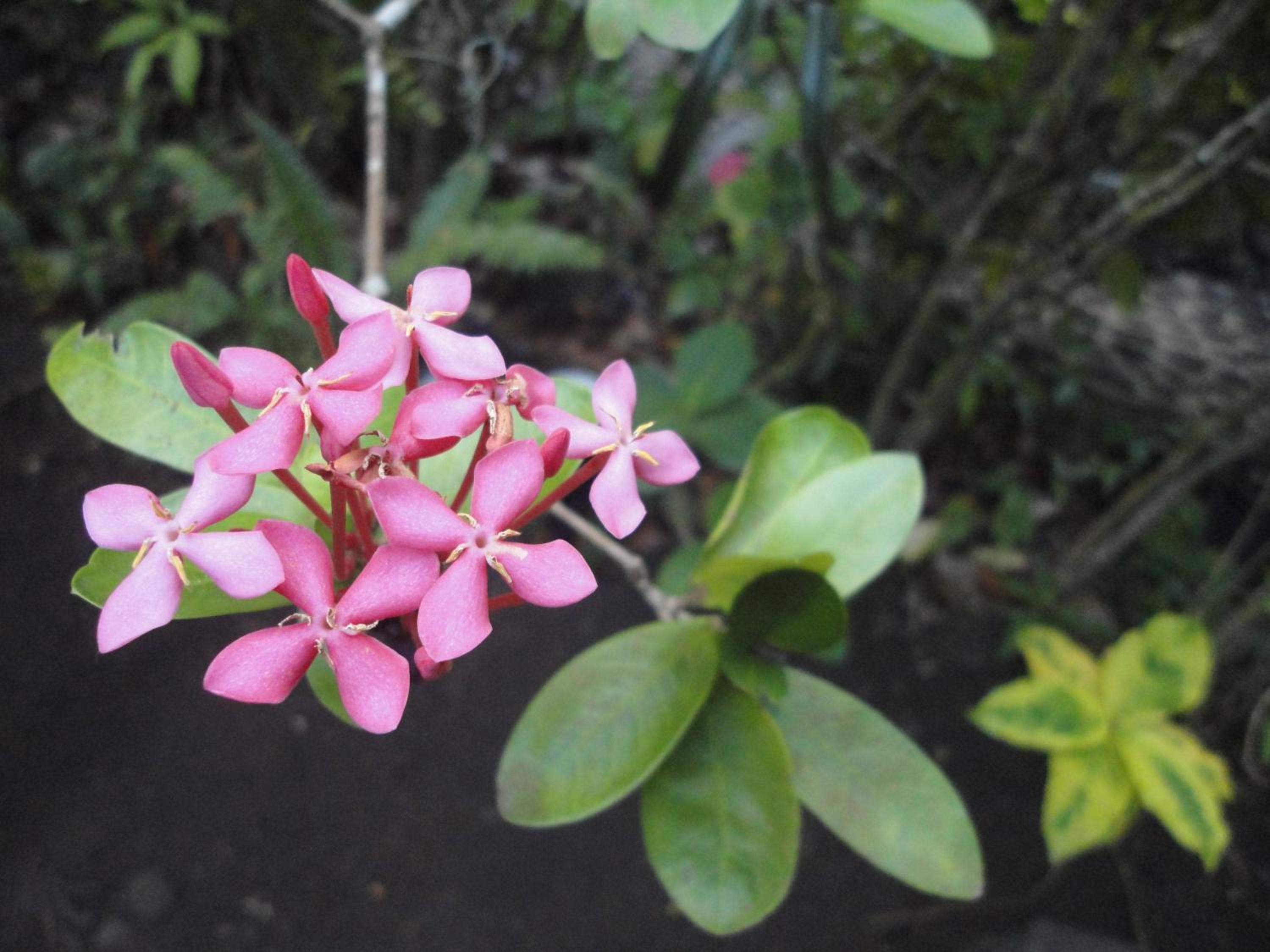Photo 42