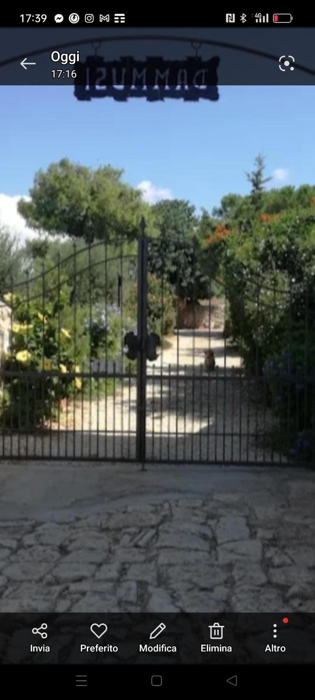 Photo 25