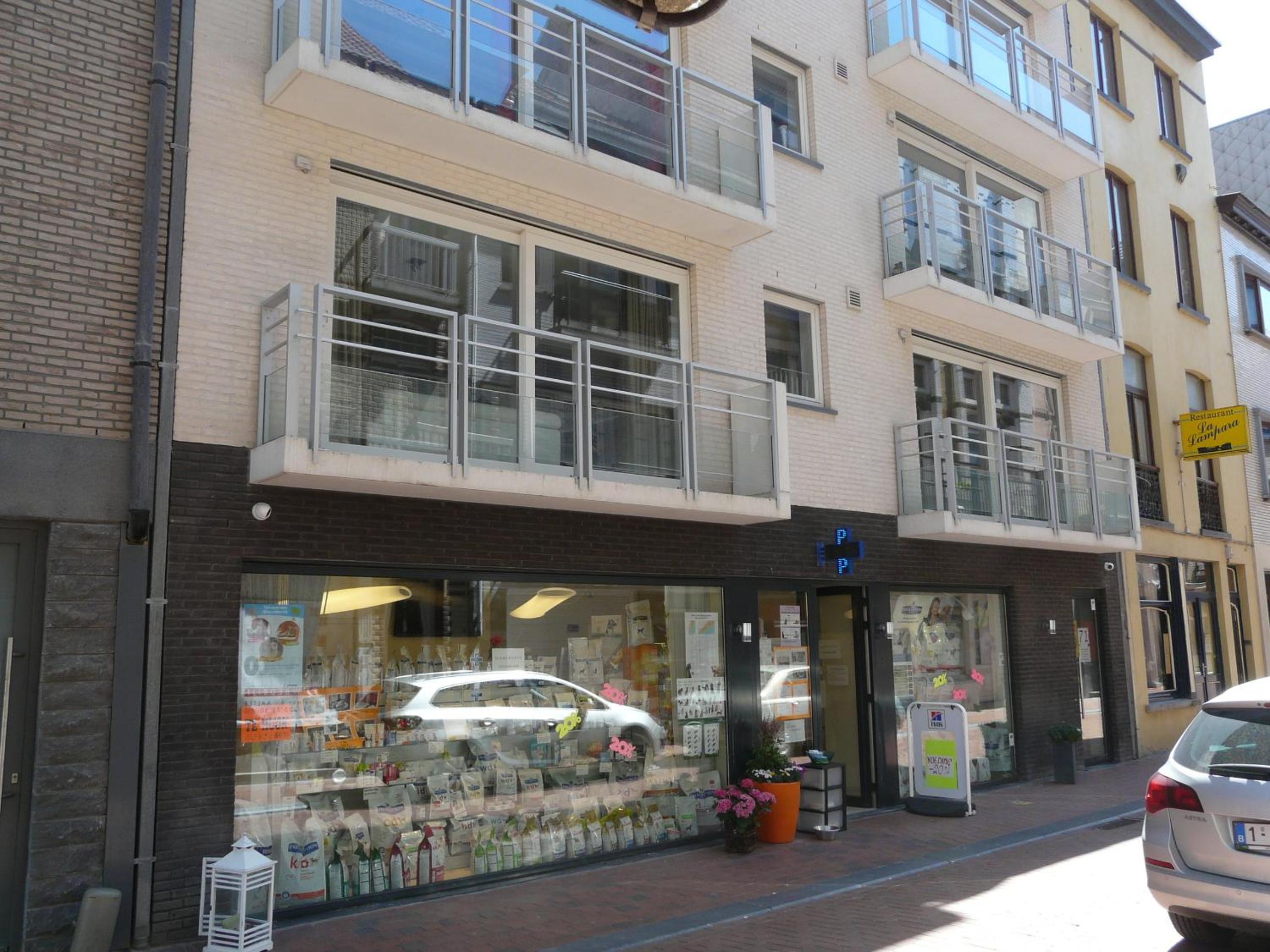 Photo 12