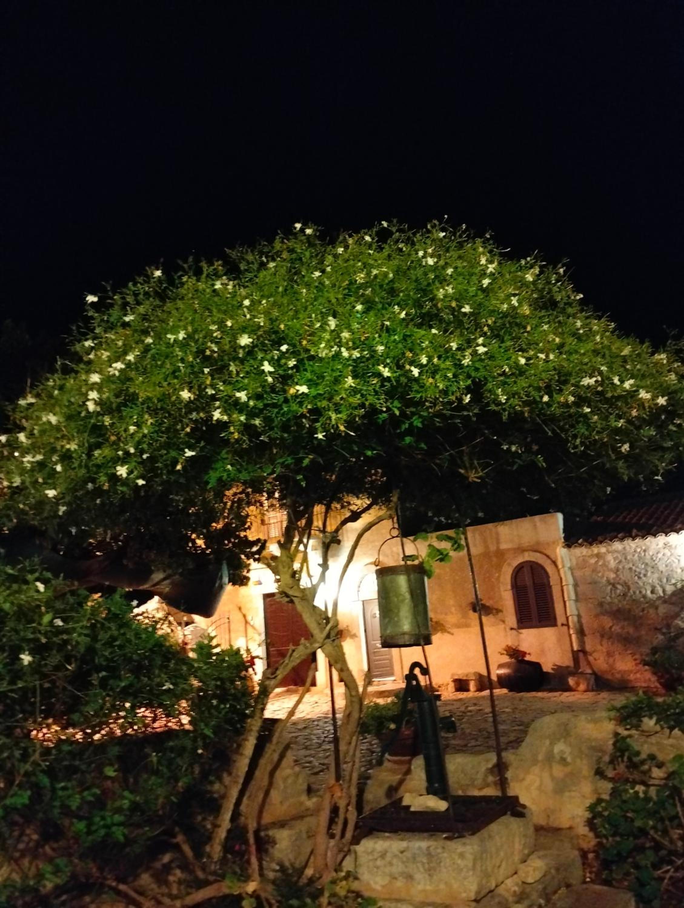 Photo 31