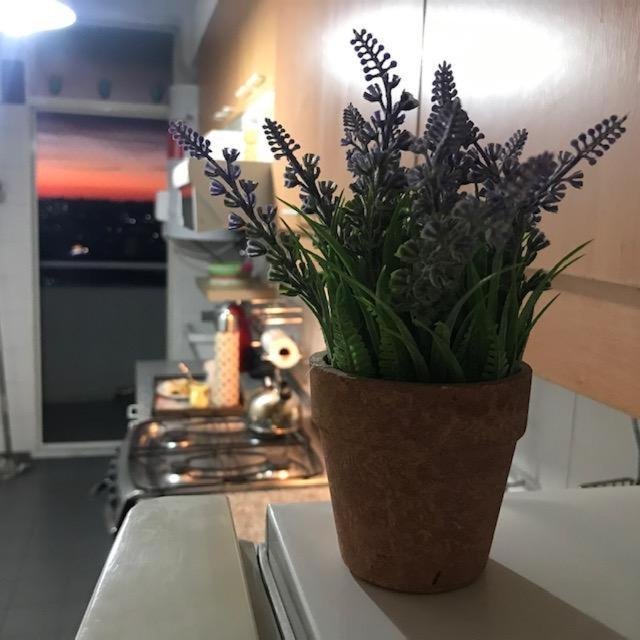 Iris Departamento